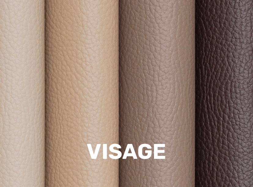 Visage